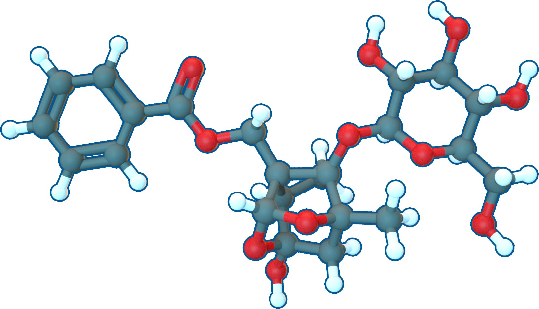 Image of Paeoniflorin | C23H28O11 | Supreme Pharmatech
